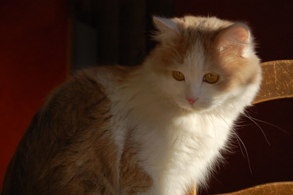 Charmi - Bär ist 9 Monate alt.jpg